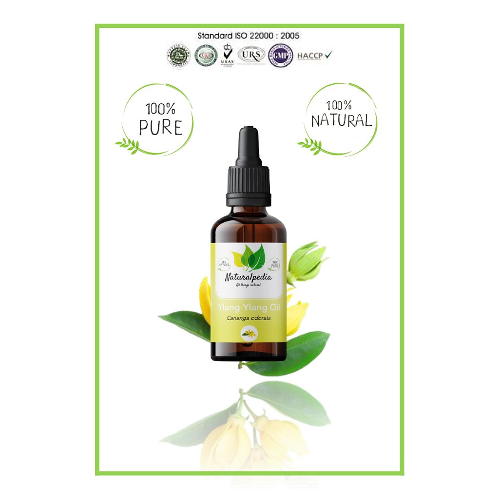 Pure Ylang Ylang Essential Oil / Minyak Esensial Kenanga Murni 30ml