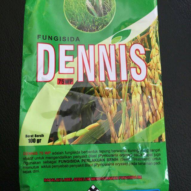 Fungisida pada benih padi DENNIS