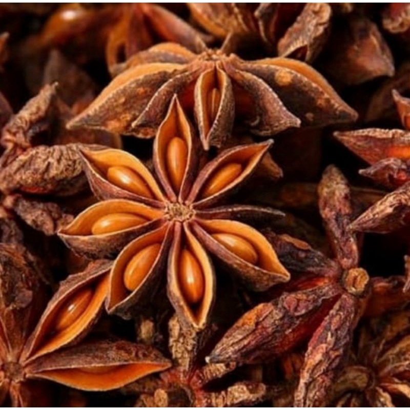 

Star anise / Kembang Lawang / Pekak 50gram