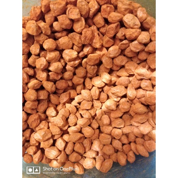 

MANISAN KIAMBOY PLUM MERAH ASIN per 100 GRAM