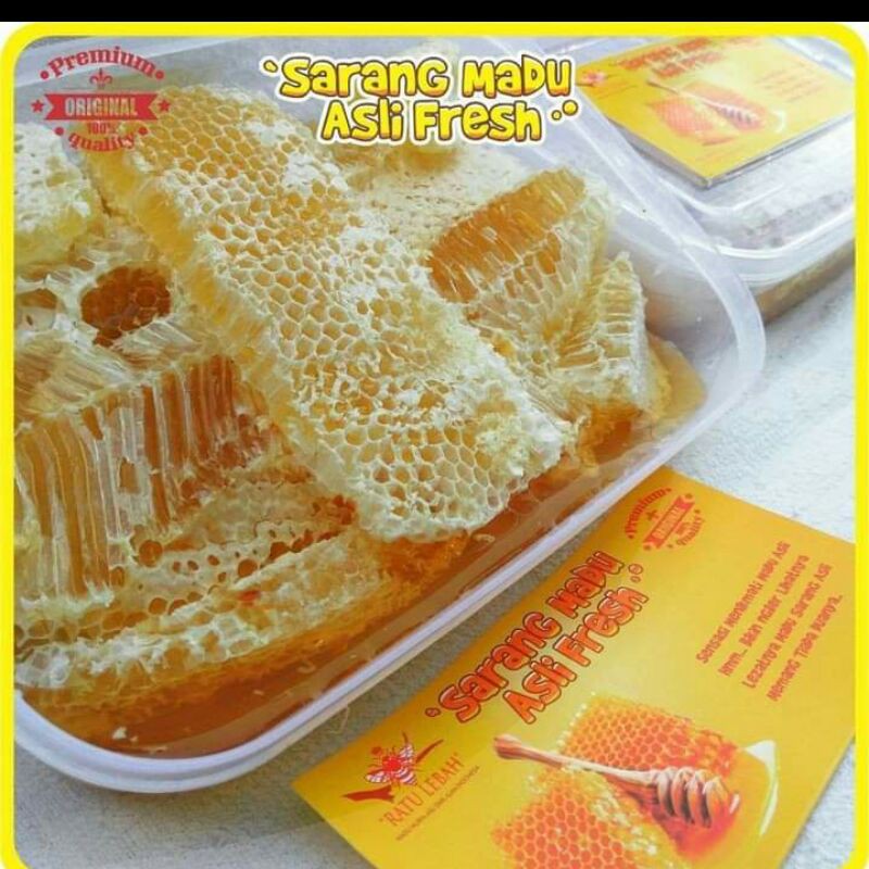 

Madu Sarang apis melifera