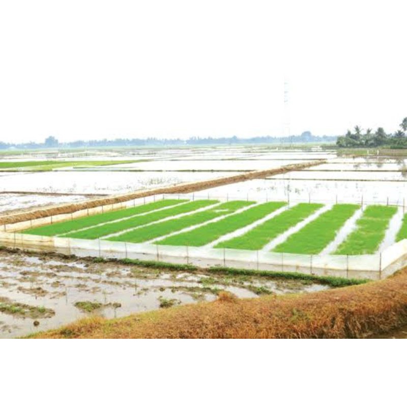 Plastik pagar sawah-sungkup-persemaian benih tanaman
