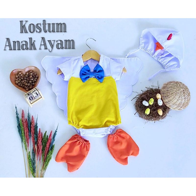 Kostum Bayi Newborn Foto Model Anak Ayam Newborn Photography Properti Foto Bayi Newborn