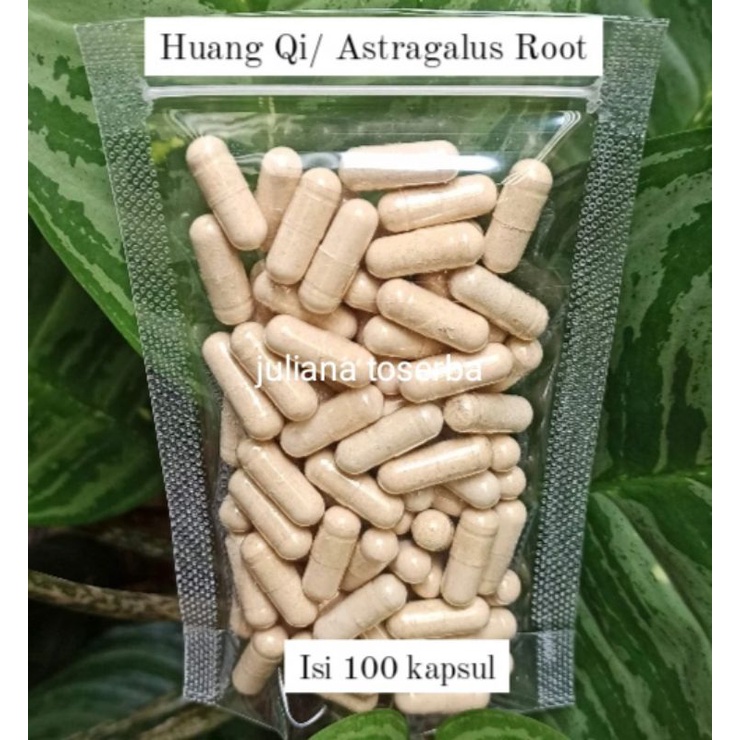 

Astragalus / Huang Qi / Pak Ki 北芪 Raw Murni 120 kapsul