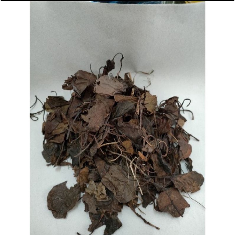 

10 g 50 gr 100 gram Herbal 鹿含草 Lu Han Cao Pyrola Decorata