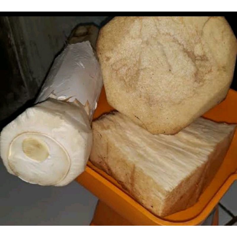 

jual humbut aren asli/umbut segar dadakan 1 kg