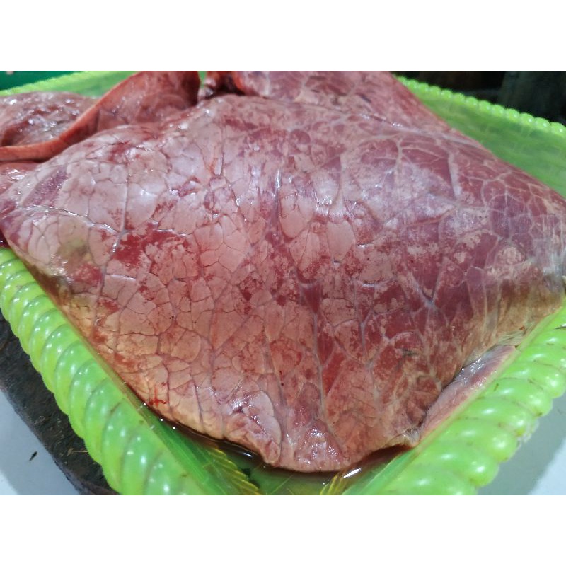

Paru Sapi Lokal Kualitas Super Segar Halal Murah