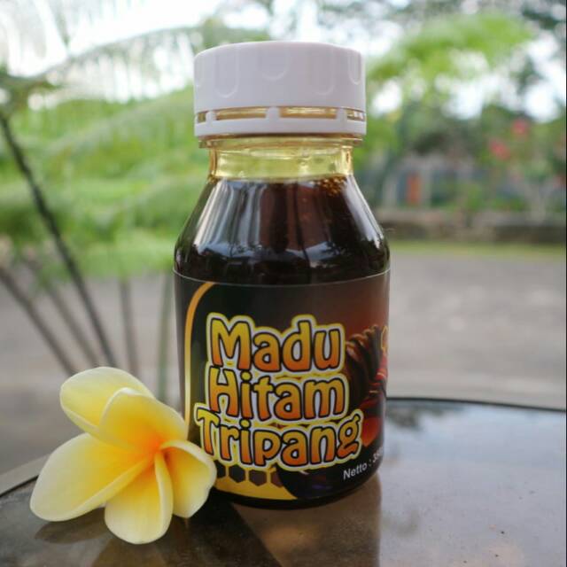 

Madu Hitam Tripang