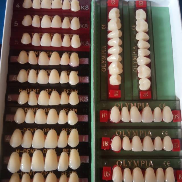 Gigi palsu tiger, opal olympia