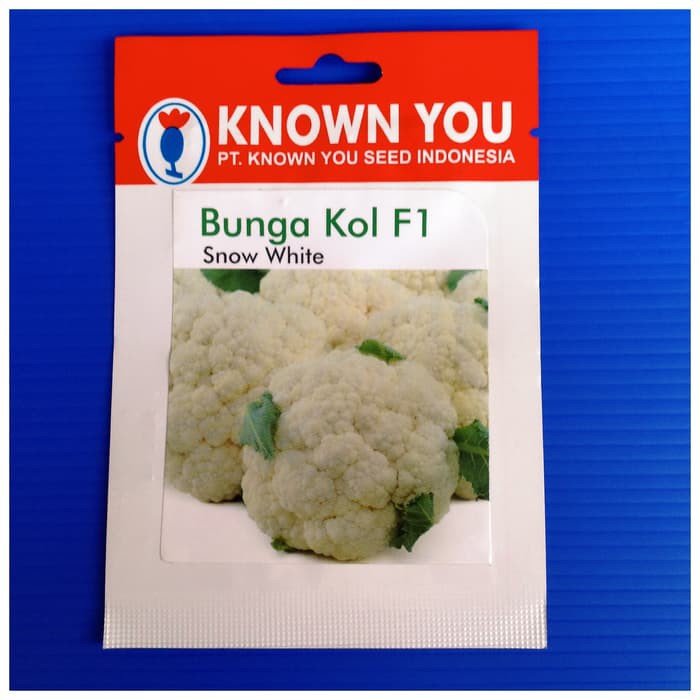 Benih bunga kol Snow white kemasan asli known you seed
