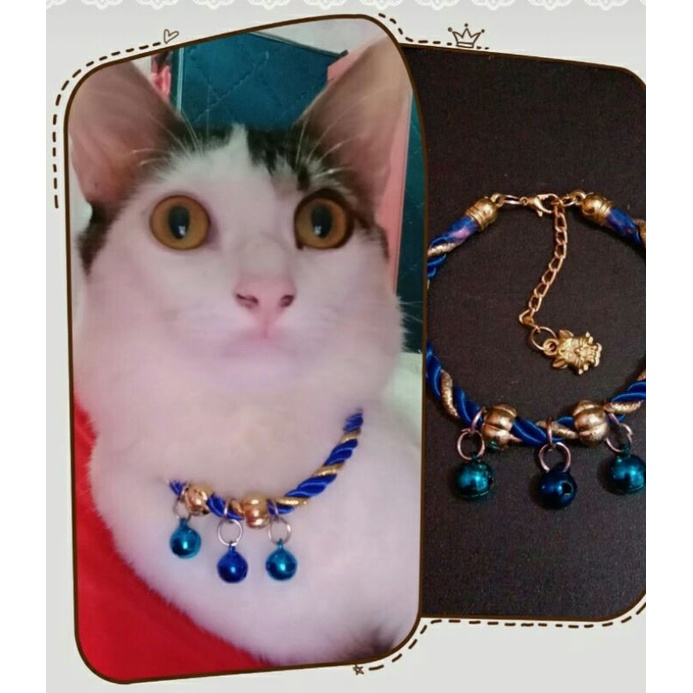 kalung kucing blue lonceng 3 mewah dan elegan