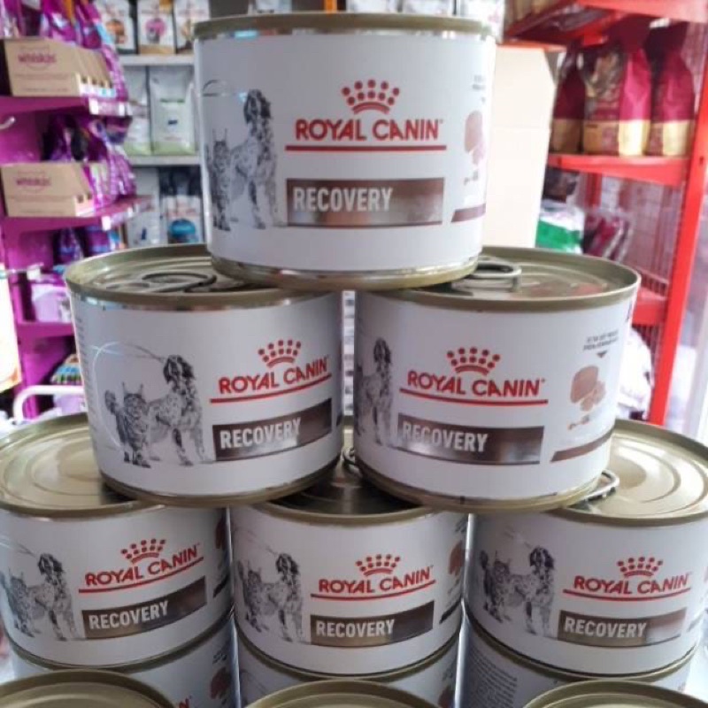 Royal canin recovery kaleng 195gr - kucing anjing makanan basah rc