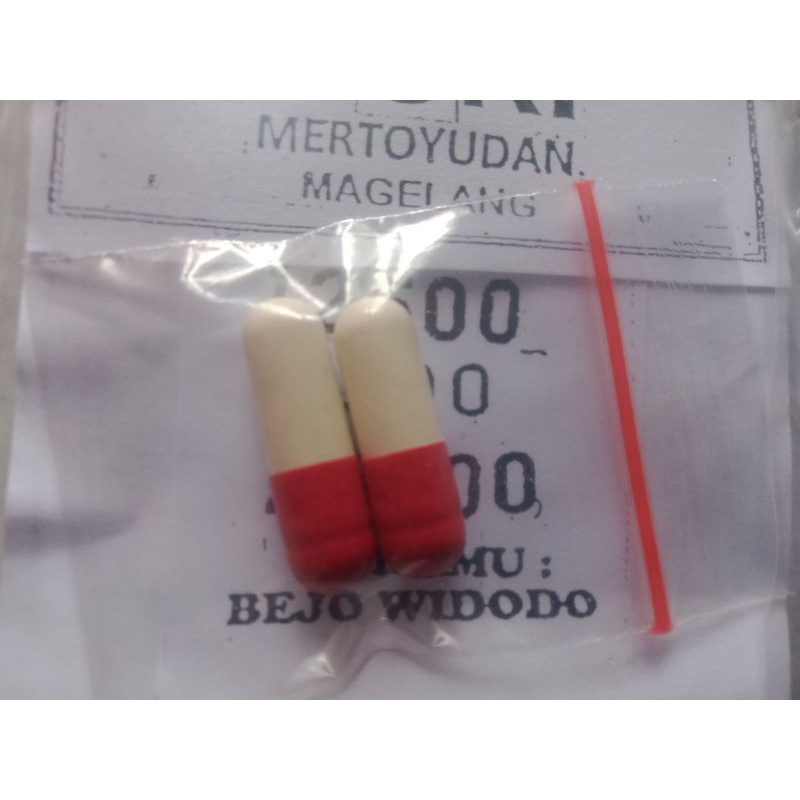 jamu tipes kapsul (tipes,maag,asam lambung,demam,flu) pak bejo widodo