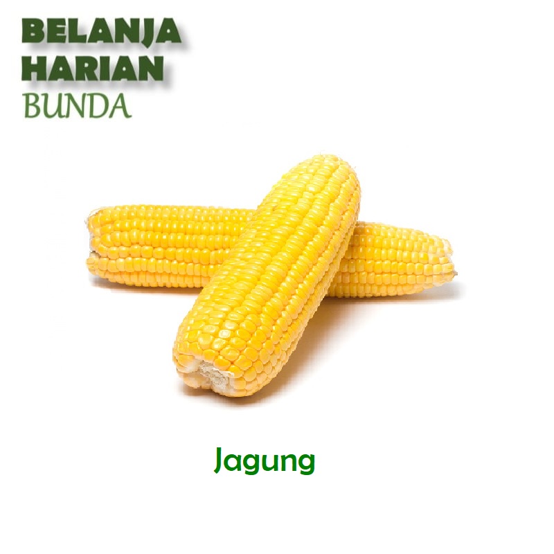 

jagung