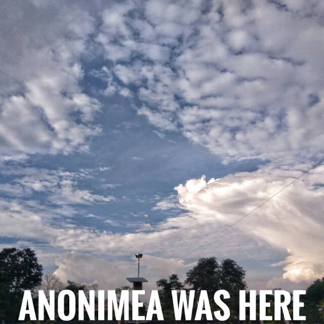 anonimea