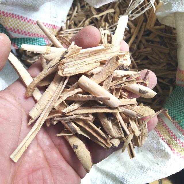 

Pulosari Kering 500gr / Kulit Kayu Pulosari Kering