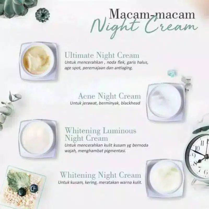 Cream Malam MS Glow/Night MS Glow