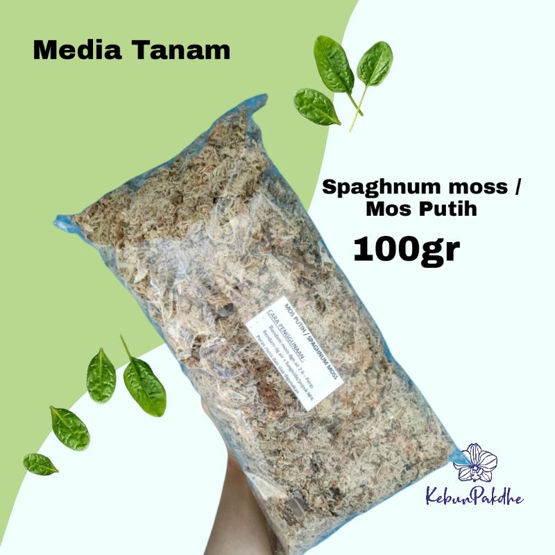 media tanam anggrek mos putih / spaghnum moss 100gr