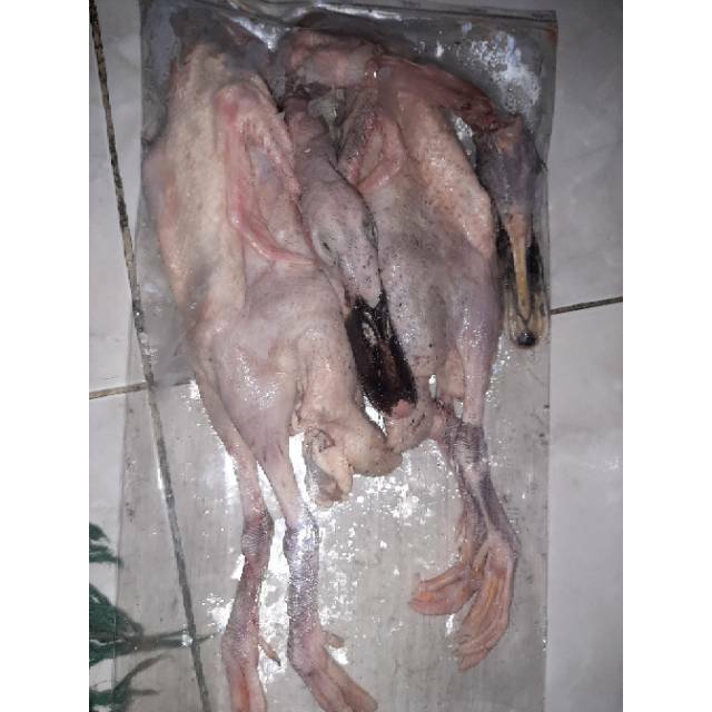 Bebek Potong atau Frozen