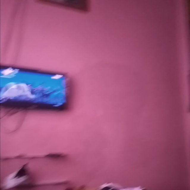 Ttc 329 Mika Puding Coklat Ketupat Idul Fitri