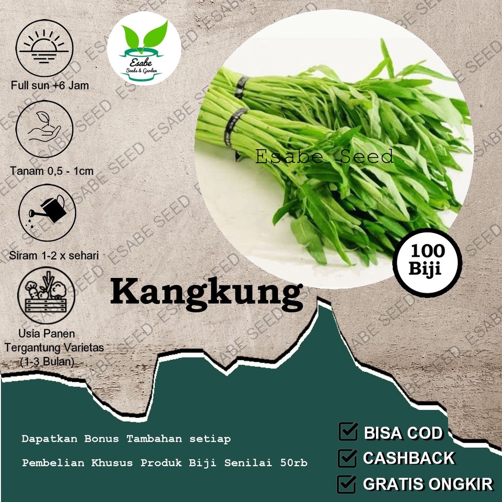 Benih Kangkung Darat Kangkung Cabut Biji Benih Sayuran Organik Hidroponik Kebun Sawah 100 Biji