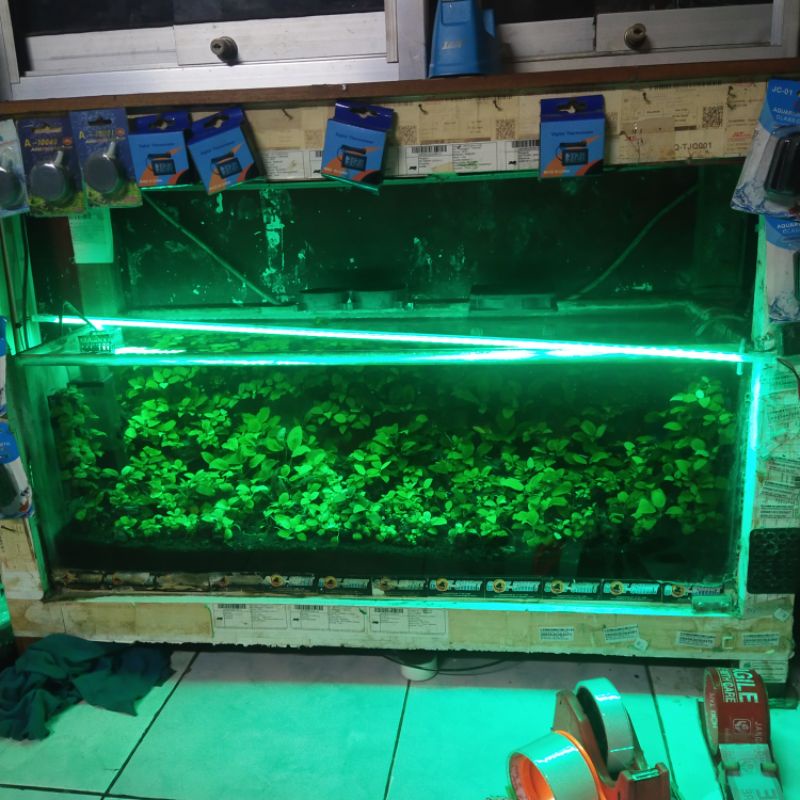 lampu hard strip 100 cm atau 1 meter aquarium dan etalase lampu saja 220v murah 14 watt