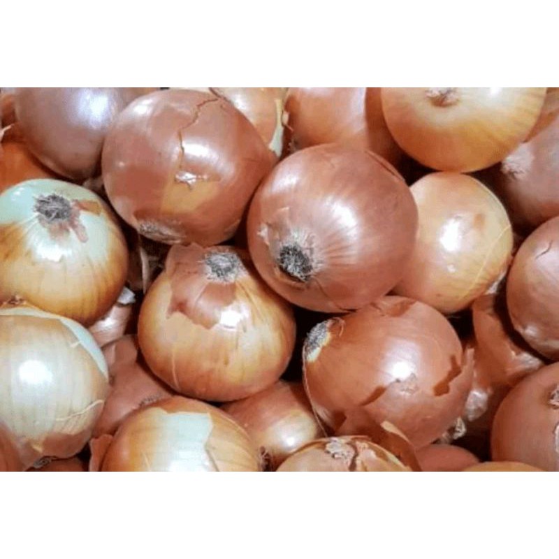 

Bawang bombay 1000gram 18.000
