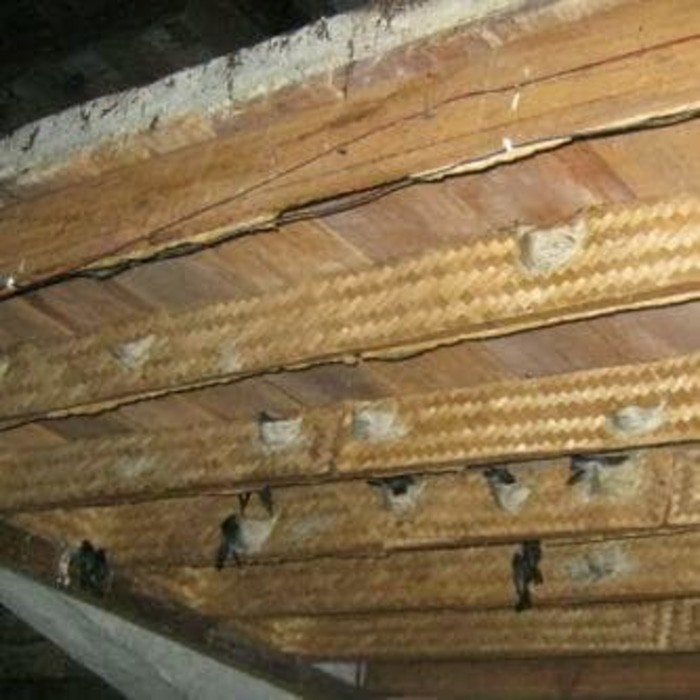 BESEK PELAPIS SIRIP WALET MURAH,BESEK WALET MURAH,BESEK KEPANG WALET