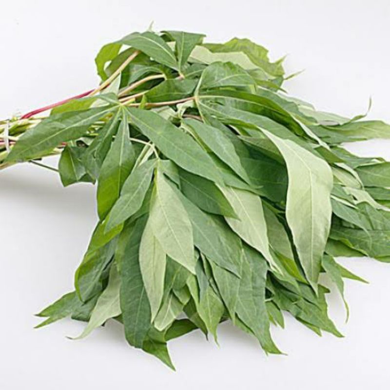 

daun singkong sayur fress per 1 iket