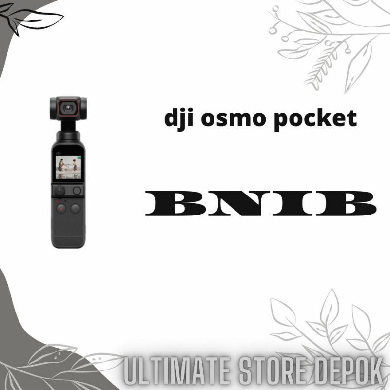 dji osmo pocket 2 combo
