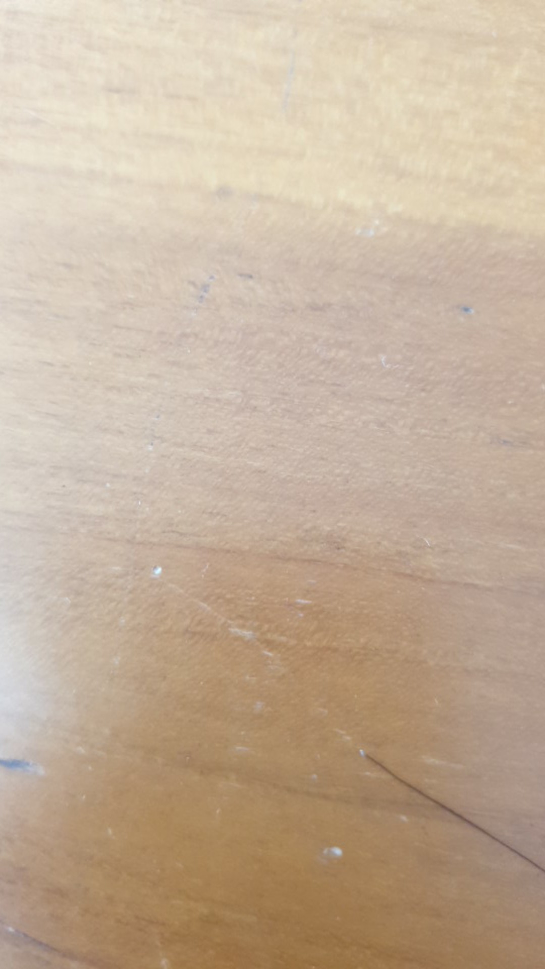 Jepitan Baju Lion Star Livina