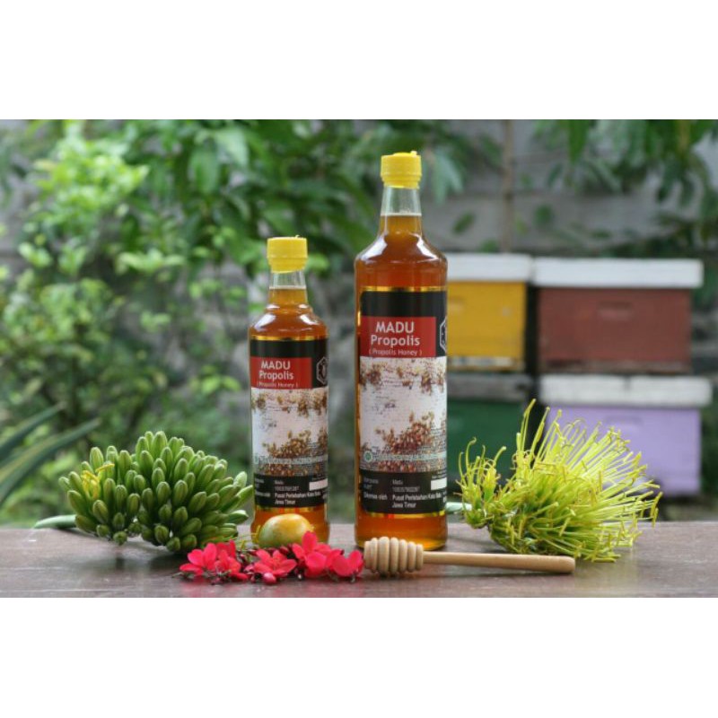 

Madu Propolis Kota Batu Asli