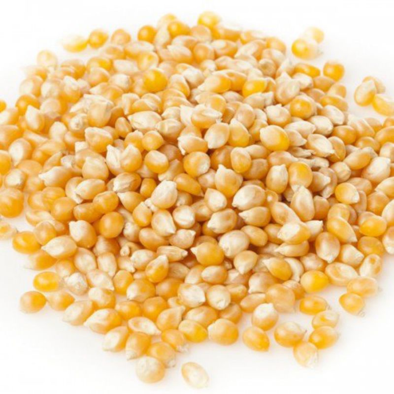 

jagung pop corn reapack 100g