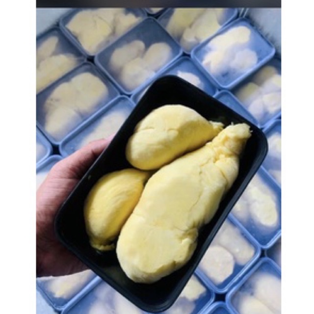 

DURIAN MONTONG PREMIUM 500gram GARANSI HAMBAR DAN ASAM