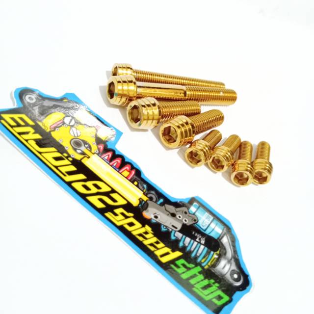 Baut Probolt Set Kerucut untuk Botom RT Stage Copy Ori jumlah ( 8 pcs )