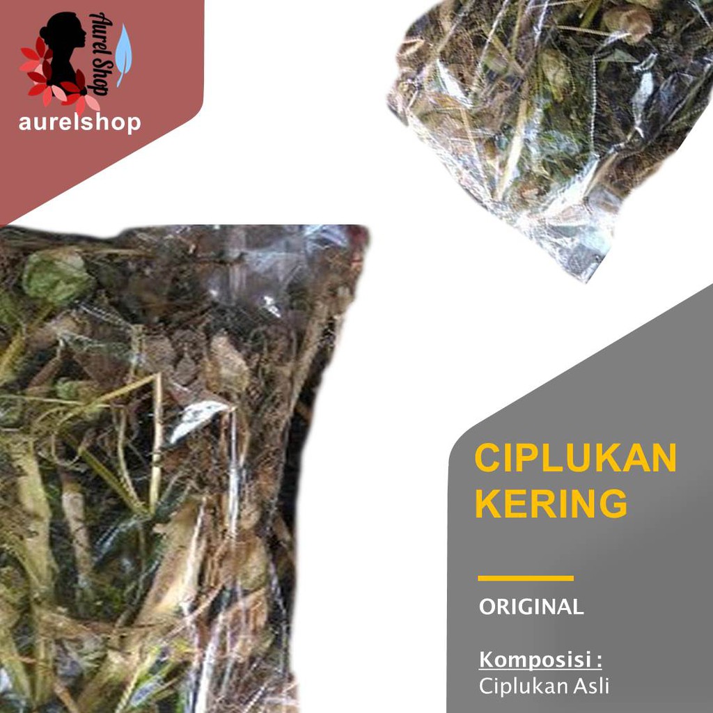 

Daun Ciplukan Kering/ Ceplukan/ Morel Berry Leaf