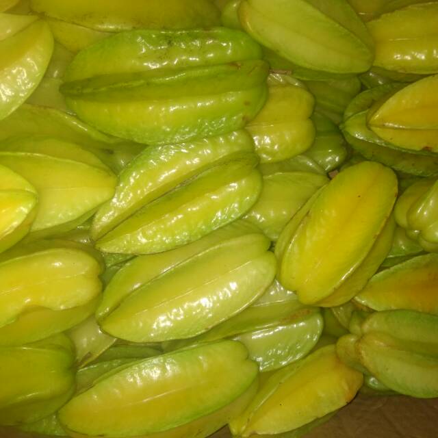 

Blimbing madu super manis peromo untuk 42 orang tercepat harga per kilo