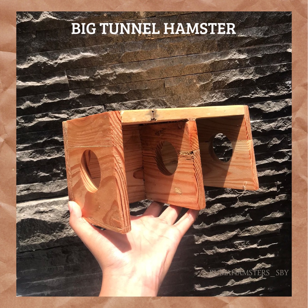 BIG TUNNEL HAMSTER I WW I SYIRIAN I ROBOROVSKI I GERBIL