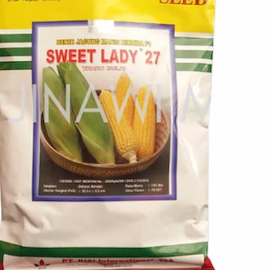 Bagus  Benih Jagung Manis Sweet Lady 27 500 gram . . . .