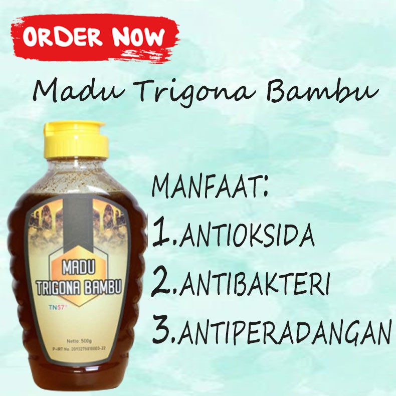 

Madu Trigona Bambu TN 500 Gram