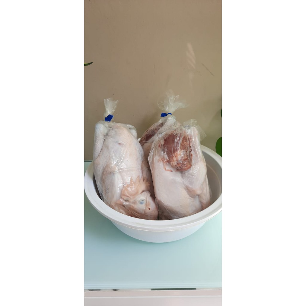 

Ayam Kampung 650 - 700 gram Kualitas Super
