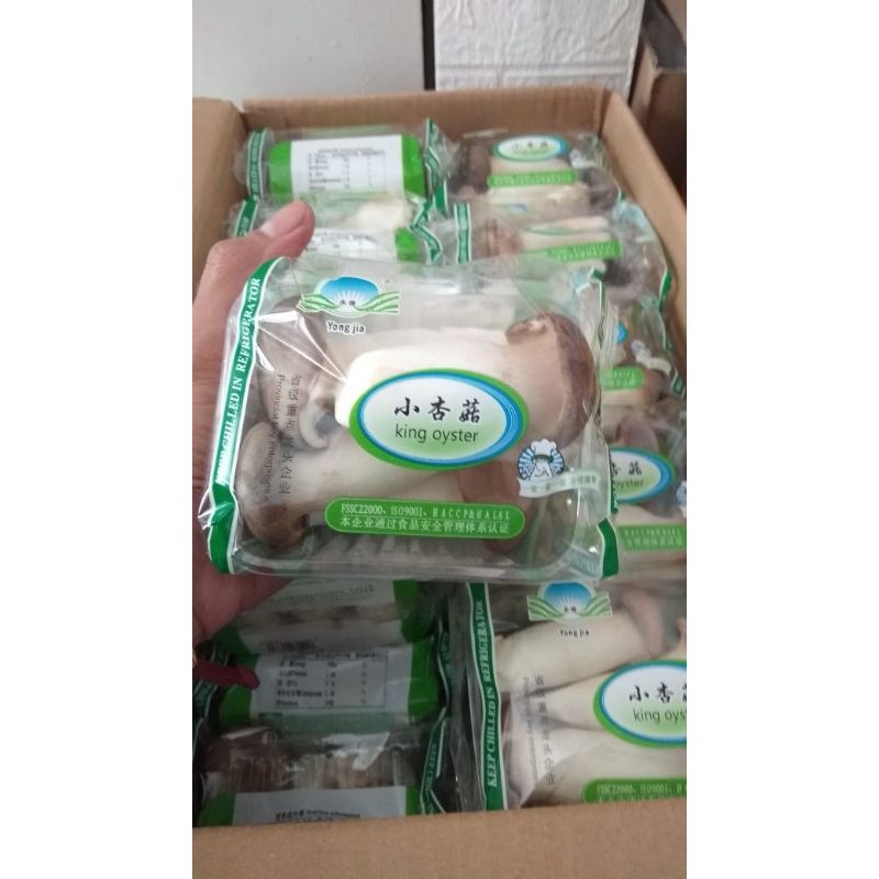 

Jamur King Oyster fresh