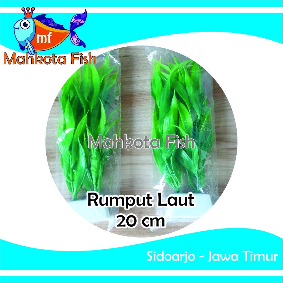 Hiasan Aquarium Rumput Laut 20cm | Bunga Plastik Aquarium | Bunga Hiasan Aquarium | Tanaman Hias Aquarium