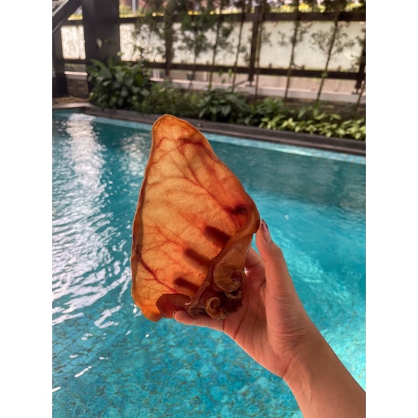 Rocky n Co| Pig Ear Jerky Air Dried Dehydrated Dog Anjing Treats Snack