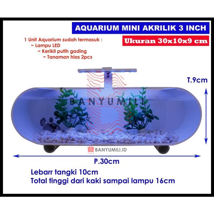Aquarium / Aquarium Mini / Aquarium Cupang / Aquarium Soliter