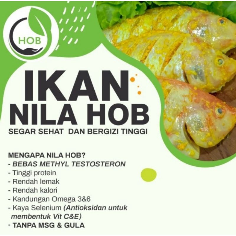 

ikan nila hob