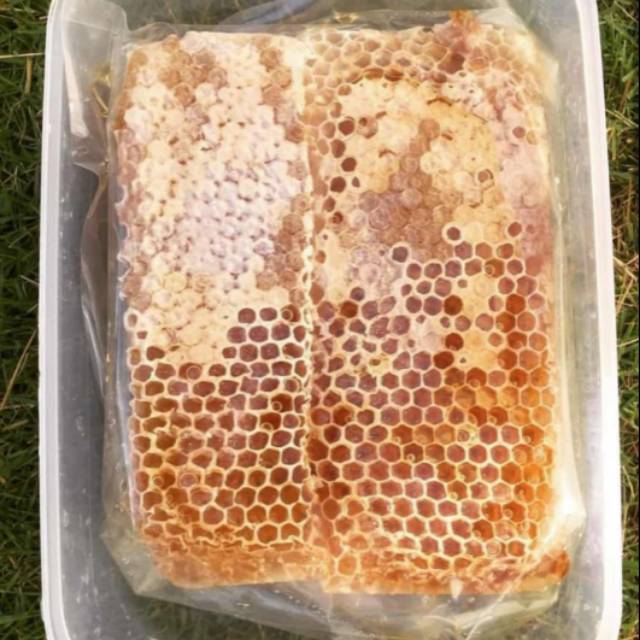 

Madu Melifera