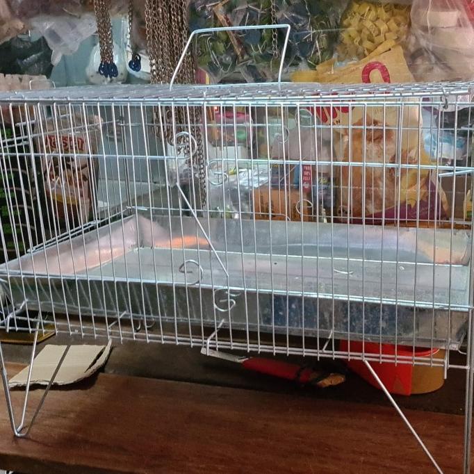 kandang burung mandi murai kacer kenari perkutut bs pk obat basmi kutu
