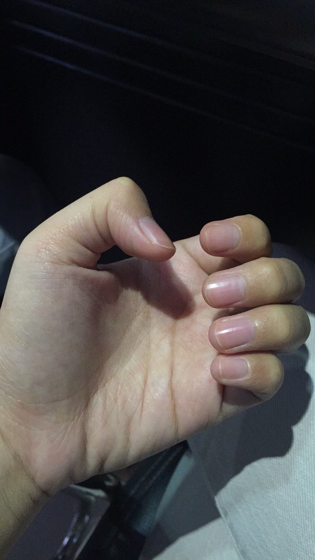 Cute 2 Go (1 Pcs)  Botol Minum Tupwr