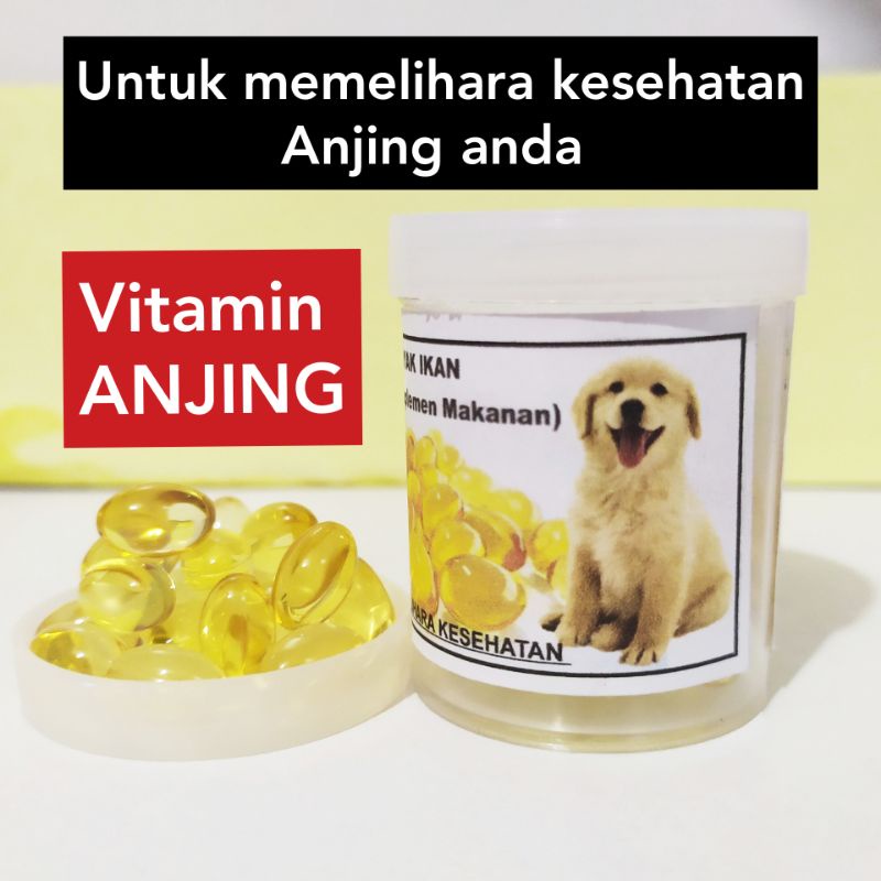 Vitamin ANJING , minyak ikan